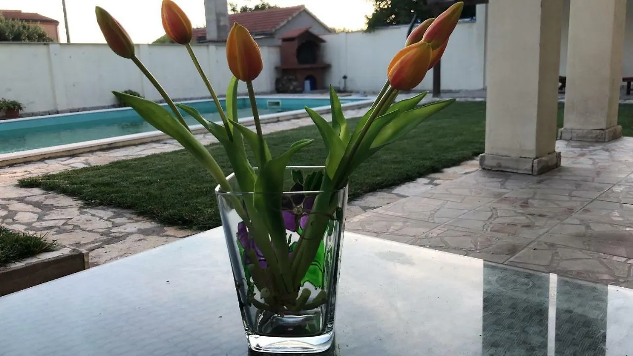 Villa Pistan Murvica  0*, Murvica (Policnik) Croacia